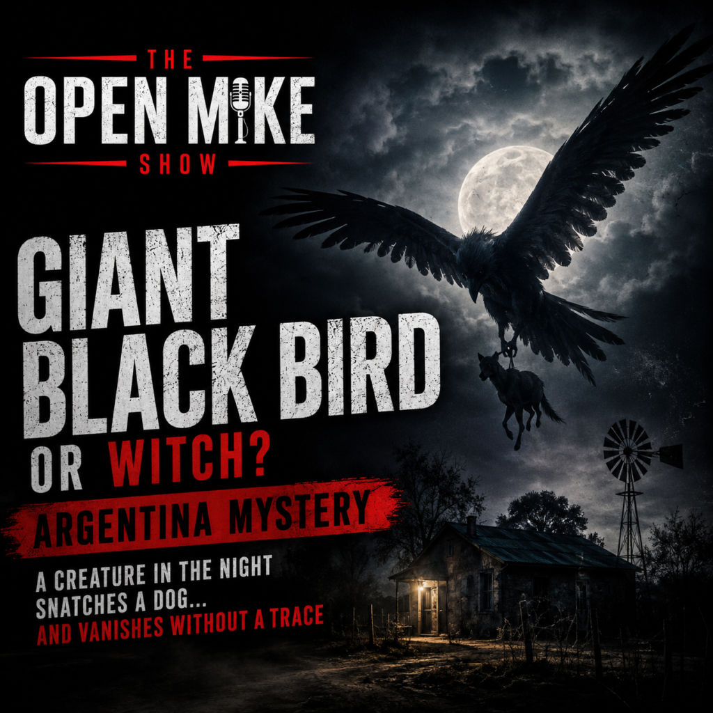 Giant Black Bird or Witch? An Eerie Mystery Unfolds in Rural Argentina